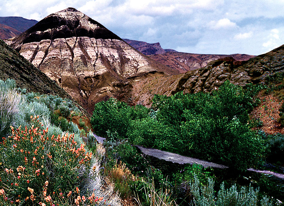 Owyhee Canyon photograph - wild Owyhee River