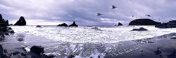 Harris Beach-Oregon Islands National Wildlife Reserve