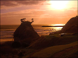 Battle Rock Wayside at Port Orford