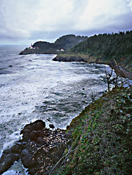 Heceta Head Lighthouse - caretaker cabin; Sea Lions in the rocks near Sea Lion Caves