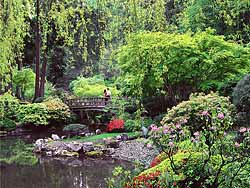 Lovers on Moon Bridge in Portland, Japanese Garden