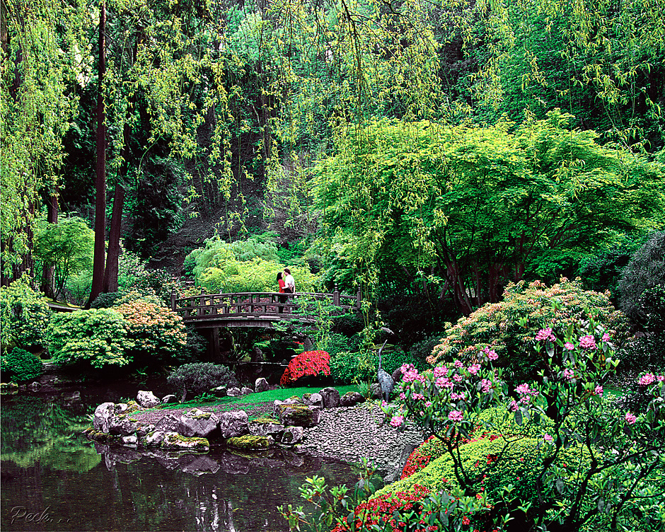 Lovers on Moon Bridge in Portland, Japanese Garden