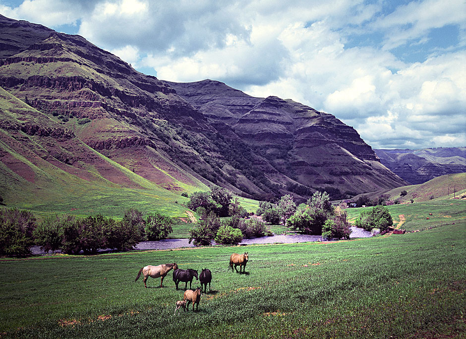 Imnaha Horse Ranch on the Imnaha River