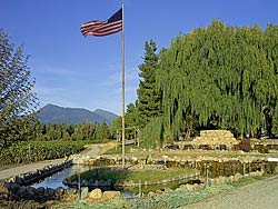 Pond at Bridgeview Winery...home to swans, a bridge and a VIEW!