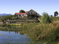 Paschal Tasting Room, Pond, reflections
