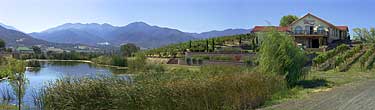 Paschal Winery Pond, Cattails, Siskiyou Mts in Background