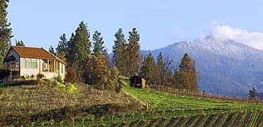 Pheasant Hill Vineyard, Talent, Oregon