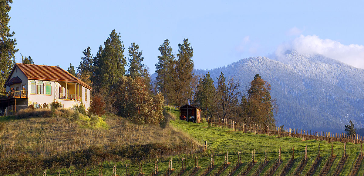 Pheasant Hill Vineyard, Talent, Oregon - Siskiyous