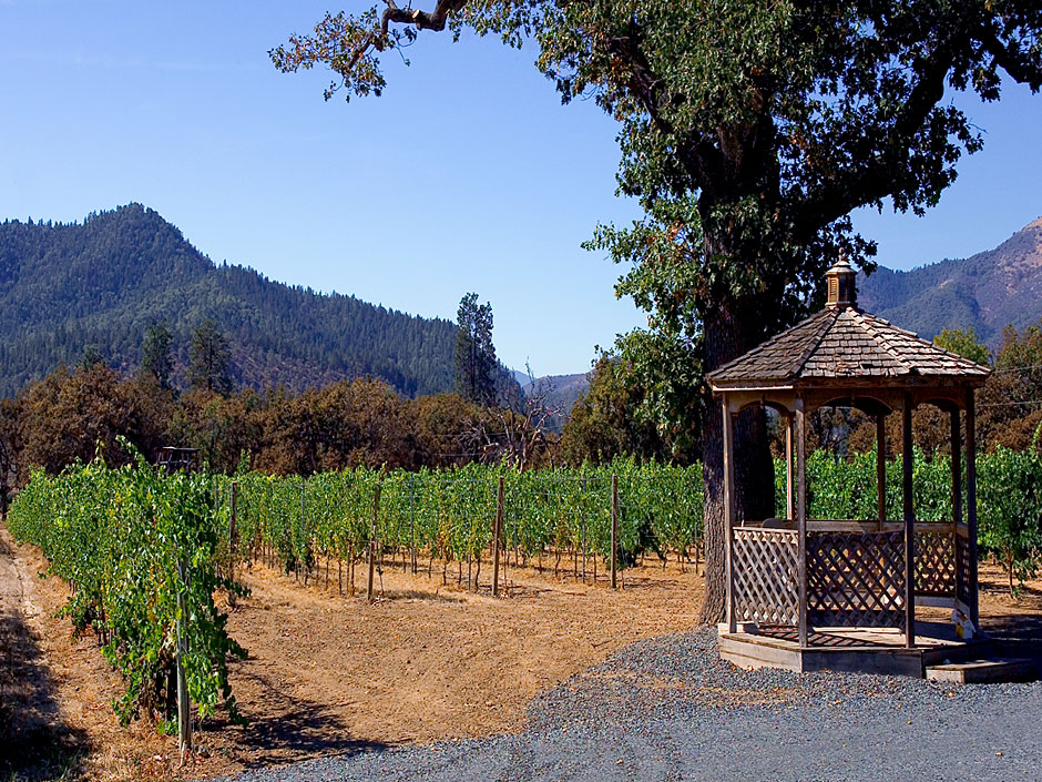 Valley View Vineyard-Peter Britt's Vineyard ~1850