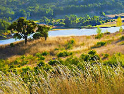 Painting - Emigrant Lake Grasses