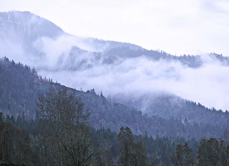 Fog in the Siskiyous Applegate Valley Oregon