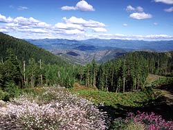 Kalmiopsis Wilderness