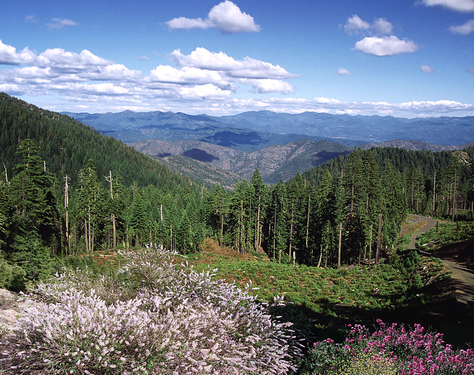 Kalmiopsis Wilderness Klamath Mountains southwestern Oregon