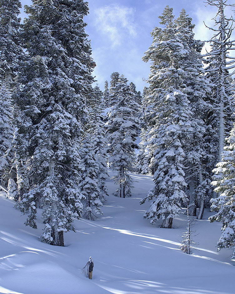 Siskiyou Mountains; Mount Ashland snow scene