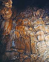 Stalactite in Oregon Caves