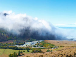 Fog on the hills of California's Lost Coast