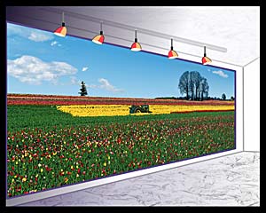 Computer graphics - mural of tractor in a field of tulips