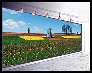 Computer graphics - mural of Holland Windmill in a field of Oregon Tulips