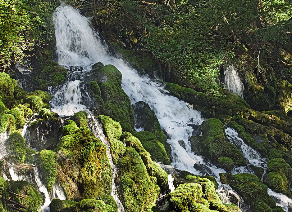 Buy this Clearwater Falls Umpqua National Forest picture