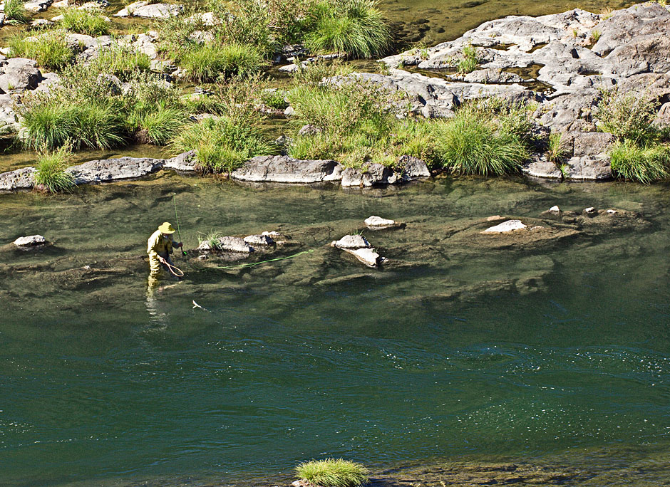 Buy this Fisherwoman removing fish from Umpqua River picture