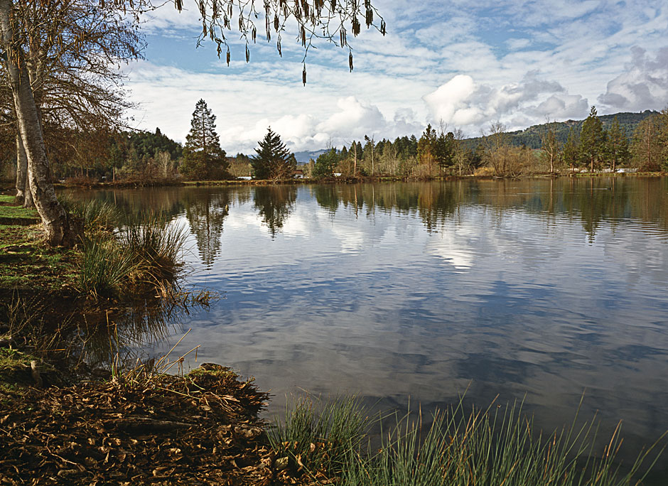 Buy this Herberts Pond-Douglas County Park picture