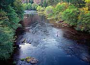 North Umpqua River and Fisherman