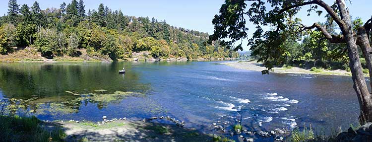 Fisherman on the Umpqua River -  Panorama where North and South Umpqua converge sold as framed photo or canvas