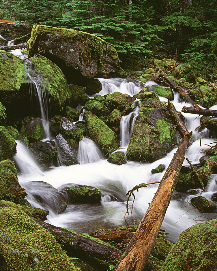 Buy this Umpqua National Forest Rogue Umpqua Byway Watson Creek picture