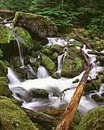 Umpqua National Forest - Rogue Umpqua Byway