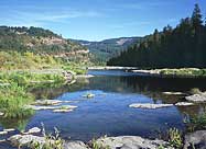 Umpqua River from Tyee Road