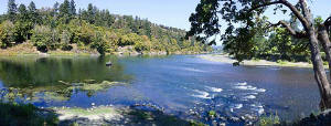 Fisherman on the Umpqua River -North and South Umpqua Rivers merge