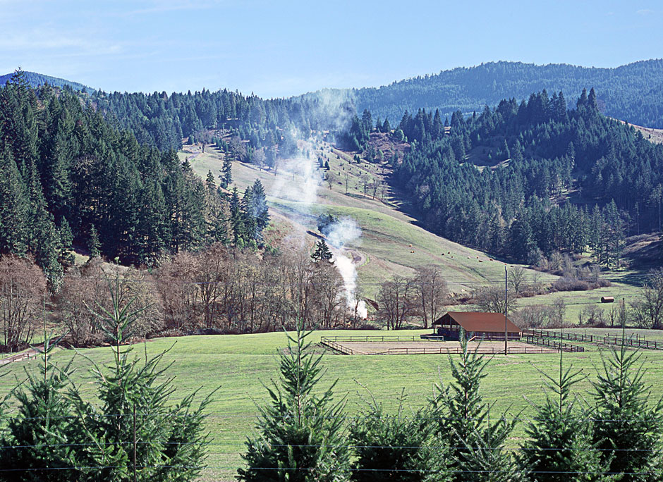 Buy this Umpqua Valley Twists of Smoke picture