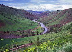 Fast flowing Grand Rhonde River in spring