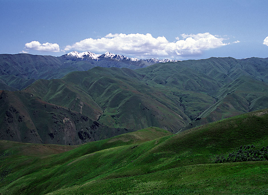 Buy this The Wallowa Mts are said to be the Oregon Alps picture