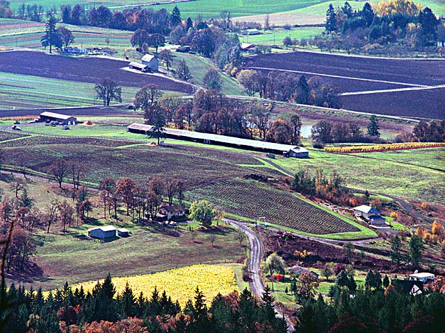 Chehalem Valley Scenic picture; Newberg Oregon