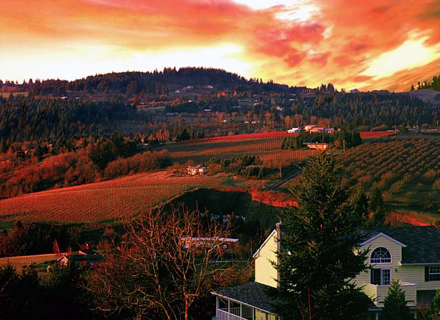 Red Hills of Newberg-Sunset picture; Willamette Valley farm area photo for sale