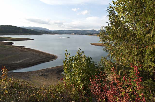 Hagg Lake Shoreline in Scoggins Valley Park; Willamette Valley picture for sale