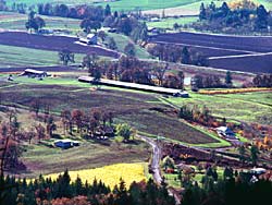 Chehalem Valley, Newberg, Yamhill County