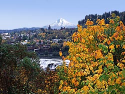 Oregon City, Willamette Falls, Mt. Hood, autumn leaves