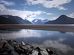 Cook Inlet where Beluga whales travel