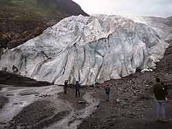 Exit Glacier National Park within Harding Ice Field