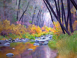 Sedona to Flagstaff - Oak Creek Canyon Painting