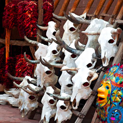 Chili Peppers, Cow skulls, masks - Novelty shop