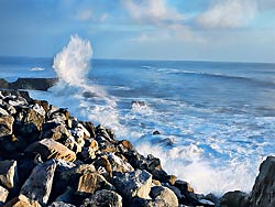 Santa Cruz Wavebursts - Central Coast Painting