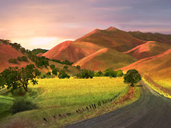 Colorful California hills Bear Valley Wildlife Meadows