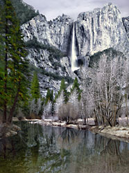 California's Redwood National Forest