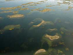 scenic pictures of Washington - Columbia National Wilflife Refuge from airplane