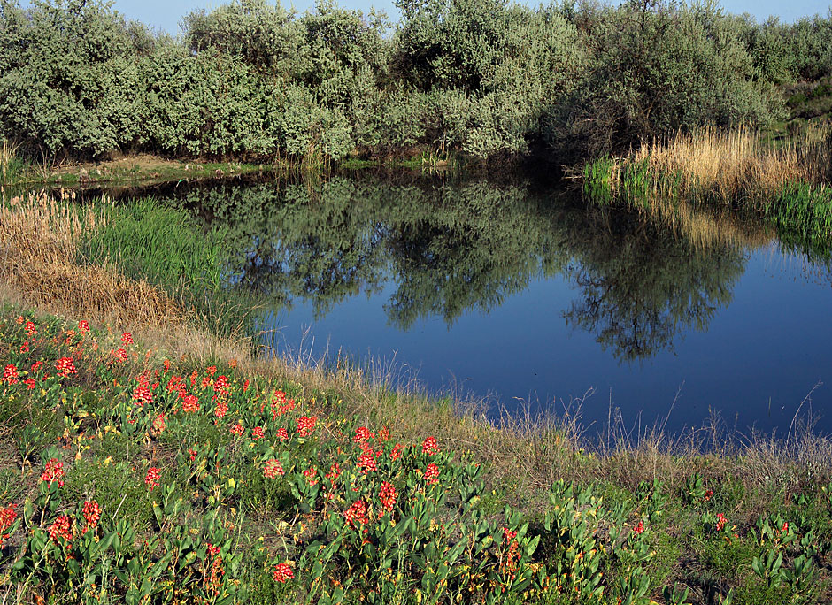 Buy this Walk right up to Potholes close to Moses Lake picture