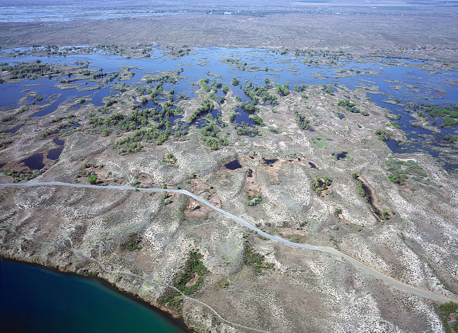 Buy this Irrigation water sinks into the soft Columbia Basin and rises again as potholes to the S of Grand Coulee picture