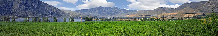 Apple Orchards on the Columbia River (Washington Agriculture)